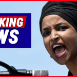 Ilhan Omar Abandons Senate Ambitions, Retreats to Safe House Seat