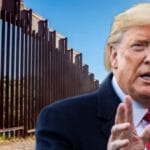 Trump Policies Spur 14,000 Migrants to Turn Back As Northward Flow Falls 97%