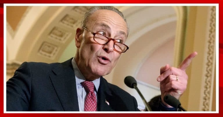 Schumer Tries to Mock Trump Over Polls, Yet He Suffers Terrible Ratings