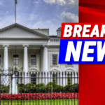 Trump to Host UFC Championship Fight on White House Lawn for America’s 250th Birthday