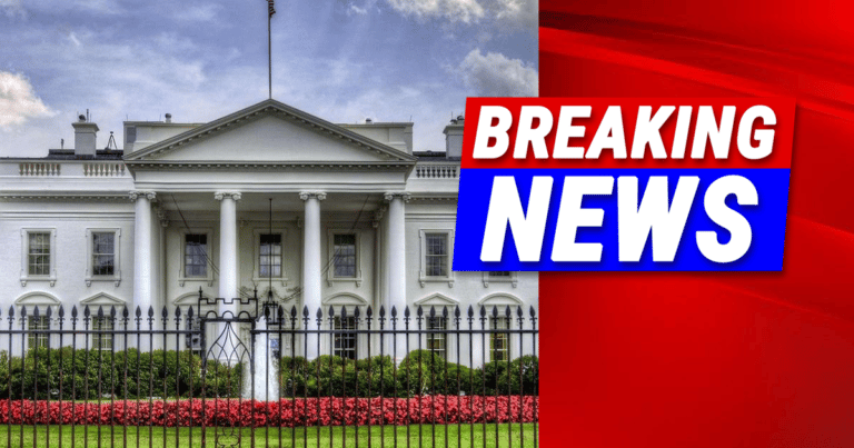 Trump to Host UFC Championship Fight on White House Lawn for America’s 250th Birthday