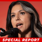 AP Forced to Take Down Article After Misquoting Tulsi Gabbard on Trump-Putin Relationship