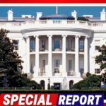 Former White Stripes Singer Blasted by White House For Oval Office Decor Insults