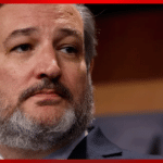 Senator Cruz Calls for Sanctions Against UN After They Accuse Israel of Genocide in Gaza