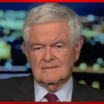 Gingrich Predicts Democrats Repeating Pattern of Failed Party from 1930s