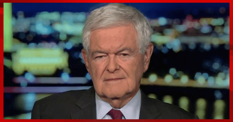 Gingrich Predicts Democrats Repeating Pattern of Failed Party from 1930s