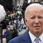 DOGE Official: Migrants Receiving $6.5B In Medicaid Benefits, And Evidence of Illegal Voting Found