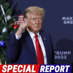 THE GREAT AMERICAN COMEBACK: How Prayer and Patriotism Saved Our Nation from the Brink