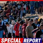 Law Firms Partner with Illegal Immigrants to Stage Injury Lawsuits