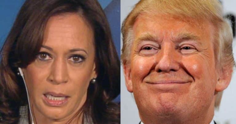 Trump Pollster Claims Kamala Harris Helped Trump by Providing “Most Effective Ad Content”