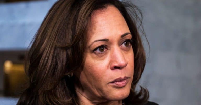 Kamala Adviser Accuses Joe Biden for Party’s 2024 Loss