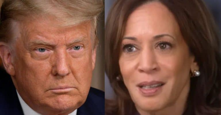 Trump Advises Harris to Give More Interviews If She Runs for California Governor