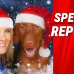 Dana Perino Says ‘Just 1 Drink’ Is Her Top Rule for Office Christmas Parties