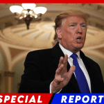 Trump Issues Warning to Republicans: Senate Democrats Will Stall Cabinet Process