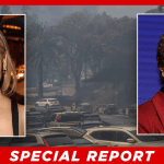 Hollywood Liberals Turn on Democrats, Call Out Leaders for Massive Wildfires