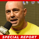 Joe Rogan Criticizes California Governor over Eyebrow-Raising Comments During Wildfires