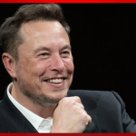 TikTok Might Have a New MAGA Owner: China Considers Selling Social App to Elon Musk