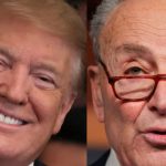 Independent Voters Distance Themselves from Democratic Leadership’s Anti-Trump Protests