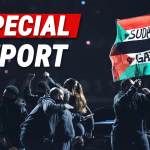 Super Bowl Performer Raised Palestinian Flag, Gets Banned from All NFL Events