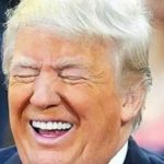 Trump’s Tariffs Drive Honda to Boost American Manufacturing