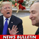 As Sen. Schumer Opposes Trump’s Agenda, President Slams Him as a “Palestinian”