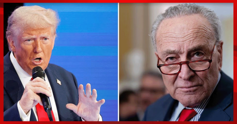 After Trump Calls Out Schumer, Democrat Agrees to Support GOP Spending Bill