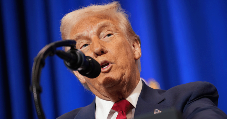 After Trump Fires Liberal FTC Commissions, They Quickly Prove Him Right