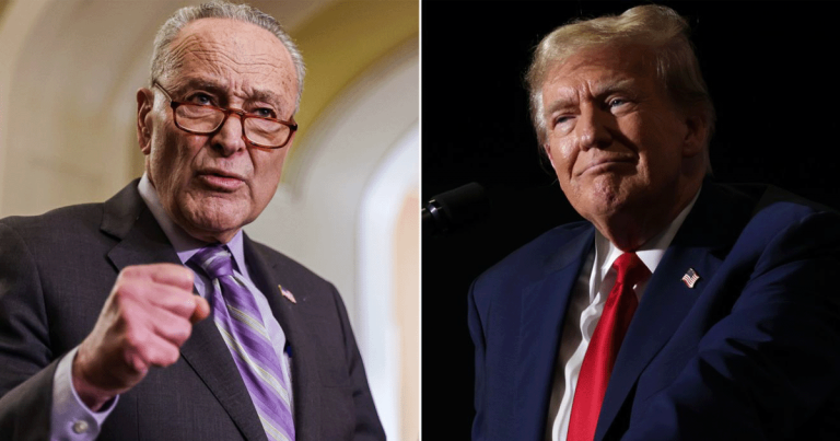 Rediscovered Video Shows Anti-Trump Democrat Schumer Praising Trump