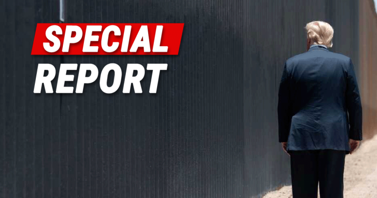 After Democrat Flies to See Illegal, New Poll Shows Americans Approve of Trump’s Plan