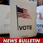 Swing State Defies Dem Scheme, Enshrines Voter ID With Constitutional Amendment