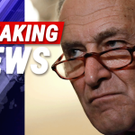 Dem Schumer Blames Trump for Ship Crash, Gets Corrected by Users Online