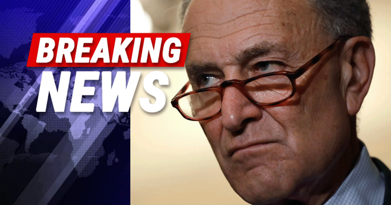 Dem Schumer Blames Trump for Ship Crash, Gets Corrected by Users Online