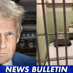 Trump Comes Up with New Law and Order Plan, Wants to Rebuild Alcatraz