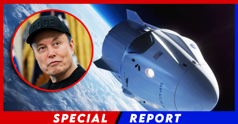 Elon Withdraws Threat to Decommission Craft After Trump Ally Threatens Deportation