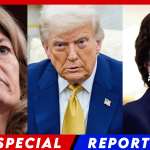 Trump Just Took Back $9 Billion from Woke Agenda, Is Opposed by Two Republicans