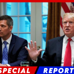 Trump Administration Orders Removal of Rainbow Crosswalks, Citing Traffic Safety Concerns