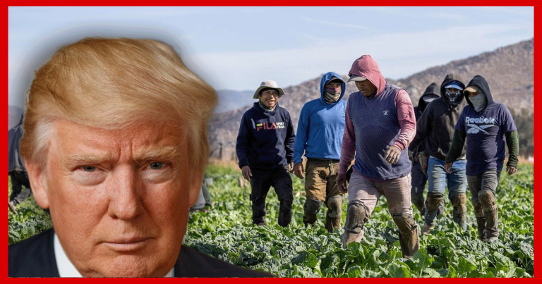 Trump Cancels Biden Rule Granting Union Rights To Foreign Farmworkers