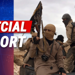 Expert Warns Al Qaeda Stronger Than Pre-9/11 with Taliban Support and Global Safe Havens