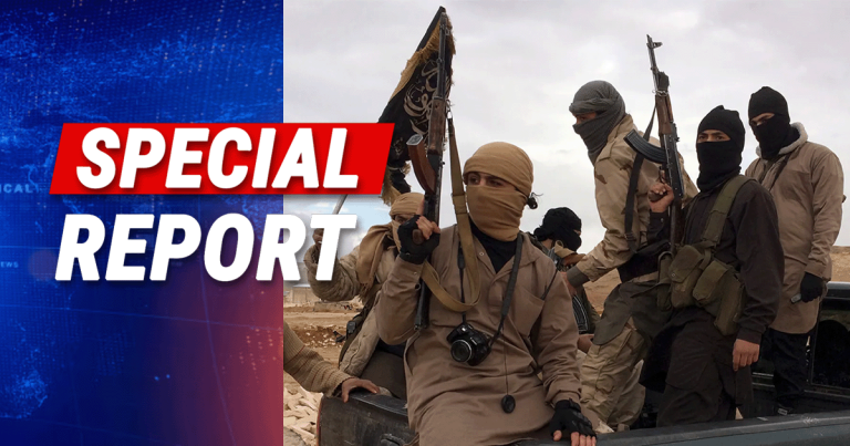 Expert Warns Al Qaeda Stronger Than Pre-9/11 with Taliban Support and Global Safe Havens