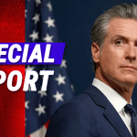 California Legislature Kills Wildfire Safety Bill Requiring Removal of Unused Power Lines